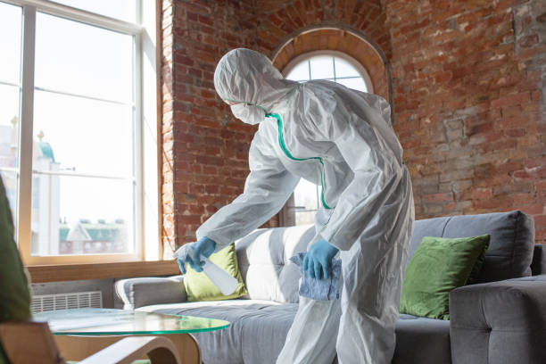 Trusted Starke, FL Mold Removal Services Experts